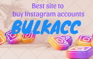Get Instagram accounts for sale_bulkacc best site to buy