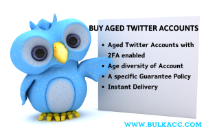 buy-twitter-accounts-with-2fa